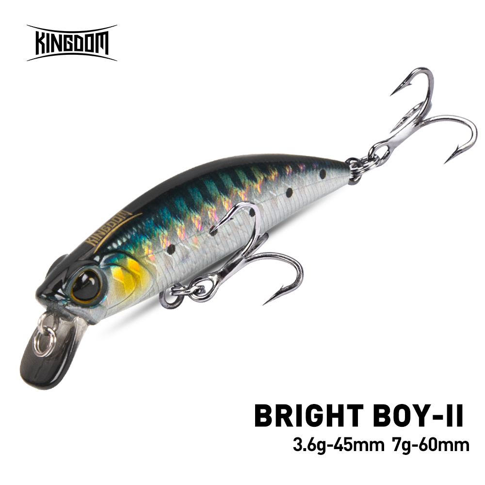 Fishing Lure Crankbait - Kingdom Sinking Minnow Fishing Lure 45