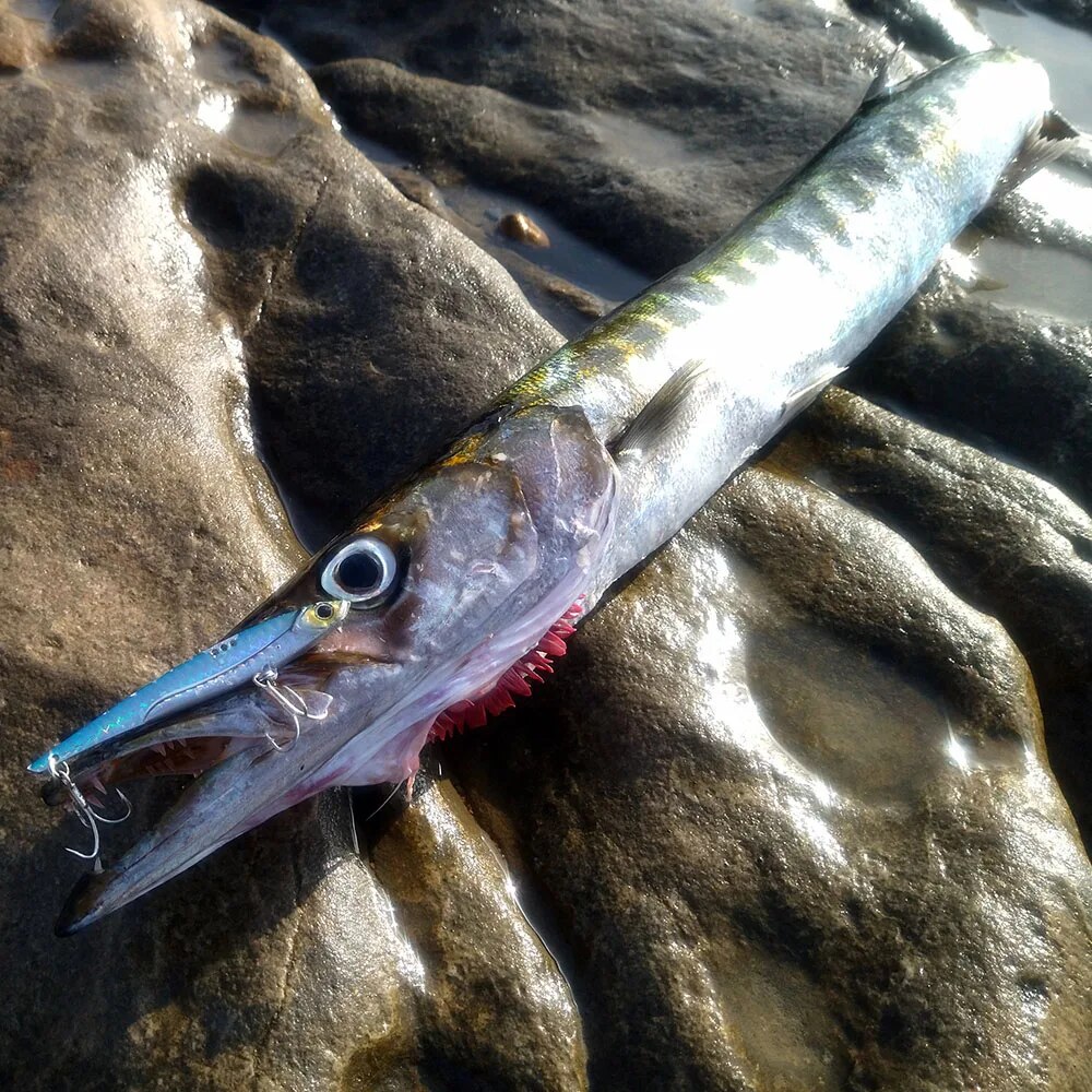 GOBAIT VIB Fishing Lure 20g 25 - Fishing Lure Blade Bait บทวิจารณ์และราคา