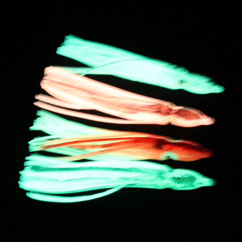 เหยื่อตกปลาหมึกซิลิโคนเรืองแสง - Fishing Lure Buzzbait บทวิจารณ์และราคา