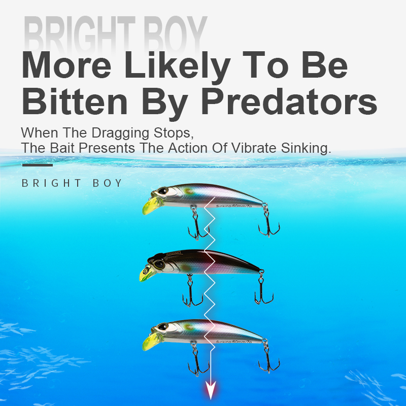Kingdom Sinking Minnow Fishing - Fishing Lure Crankbait บทวิจารณ์และราคา